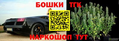 молекула духа Пугачёв