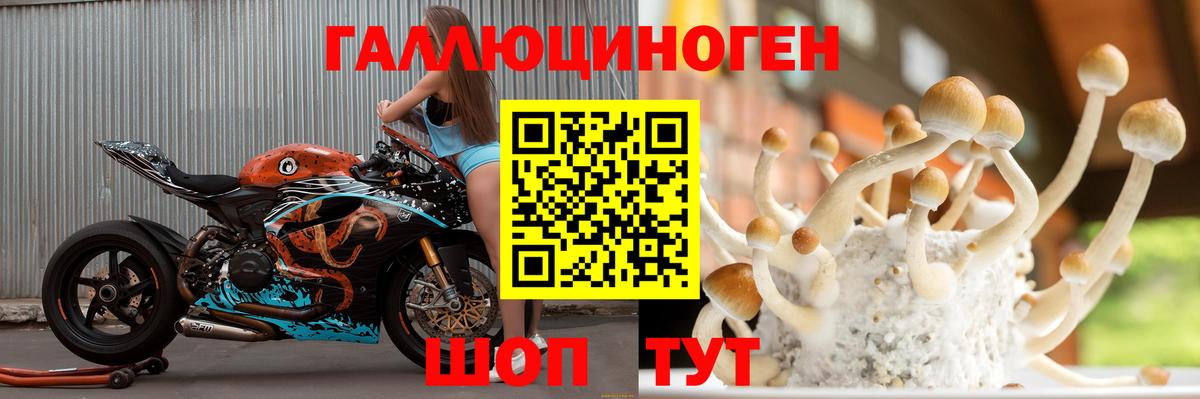 Галлюциногенные грибы Cubensis  Вход с VPN  Осинники 
